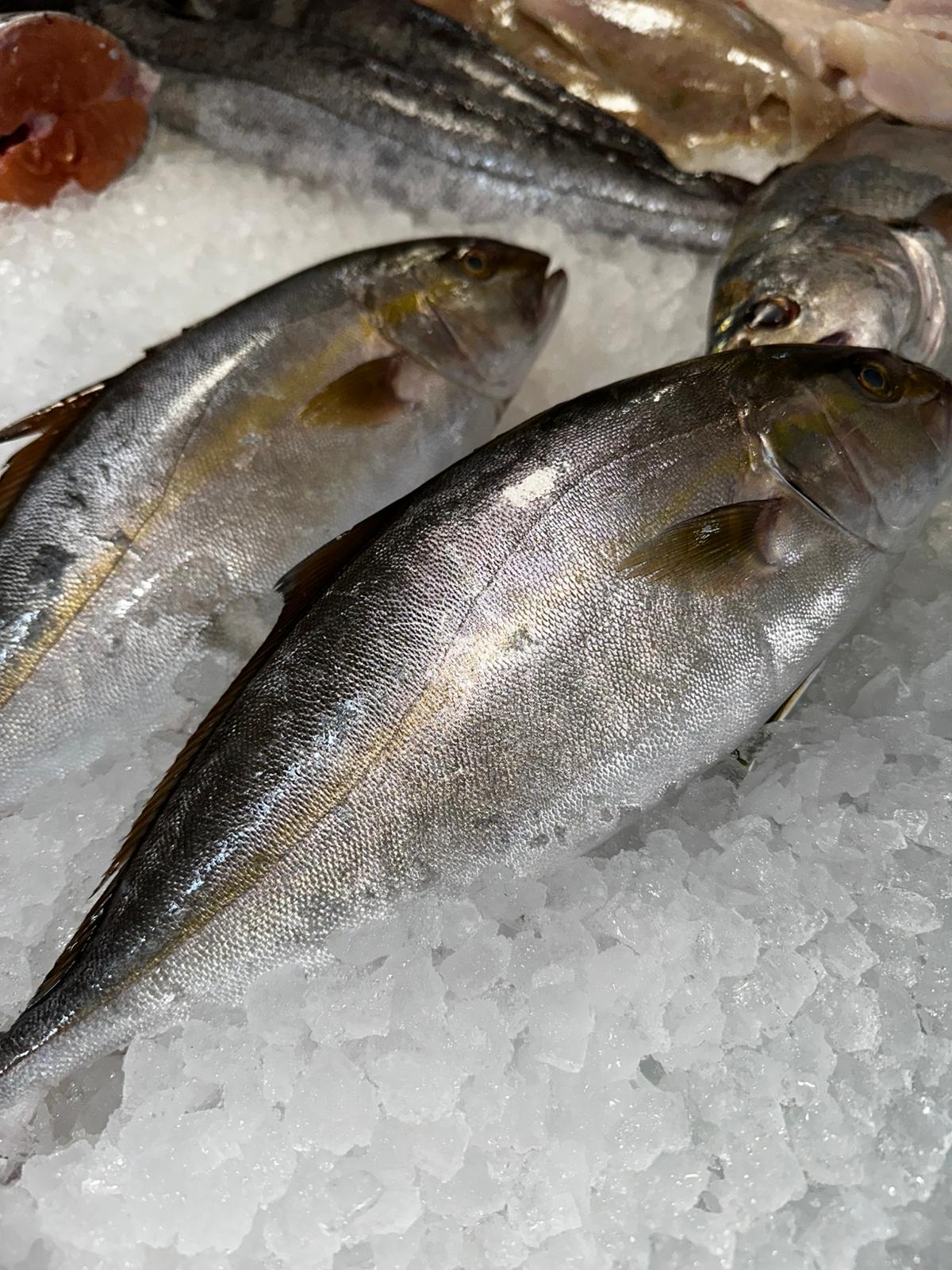 Images Peixateria de la Iaia Antònia