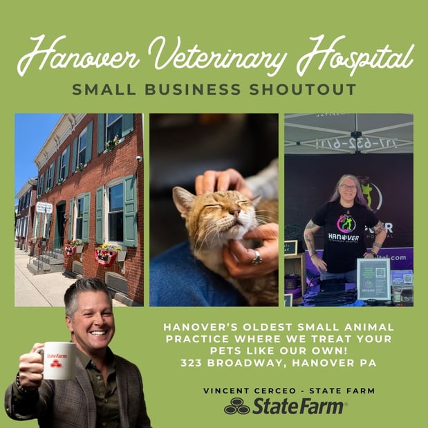 Images Vincent Cerceo - State Farm Insurance Agent