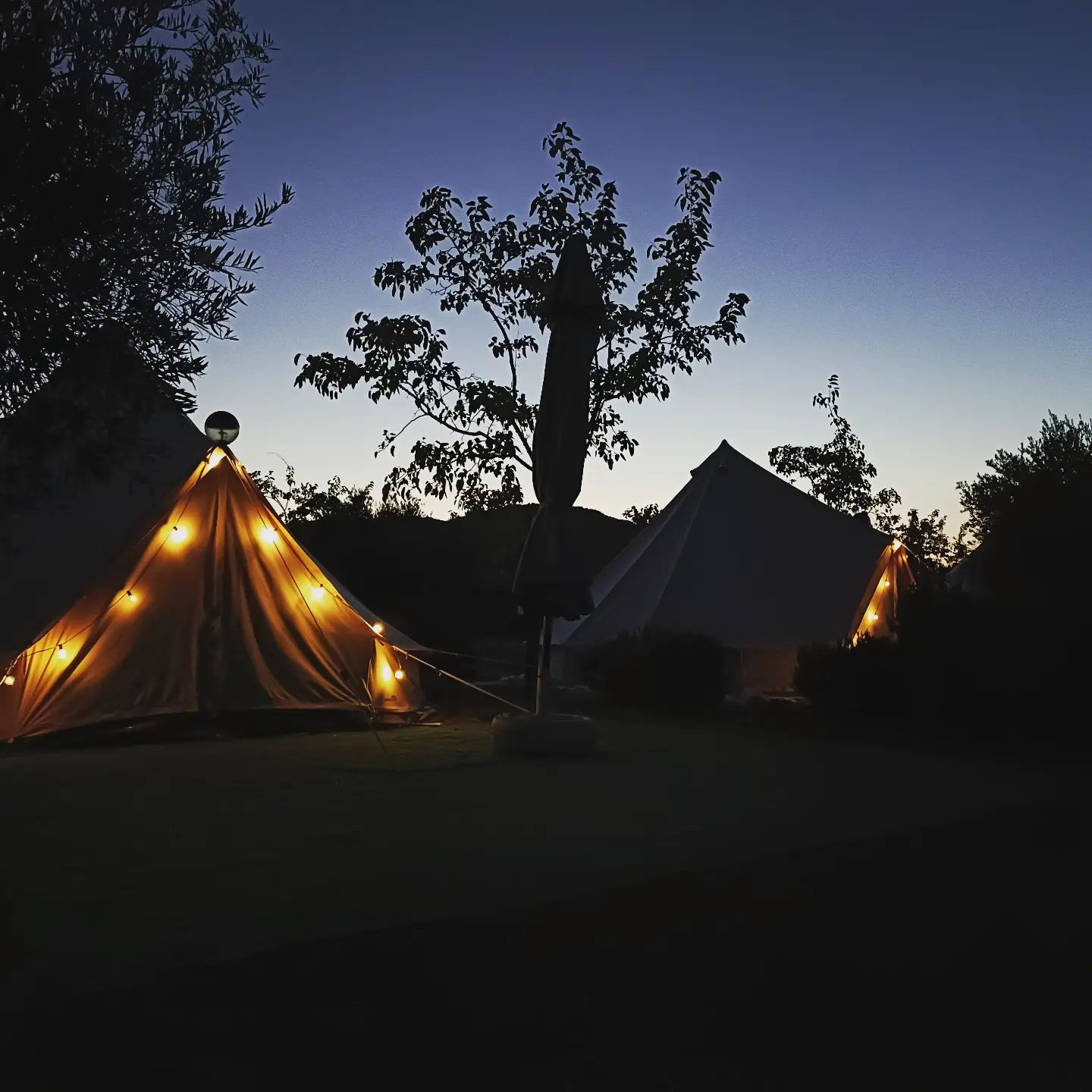 Images Camping La Tabla de la Yedra- Campamento Albergue La Tabla de la Yedra - Restaurante Terraza La Tabla de la Yedra