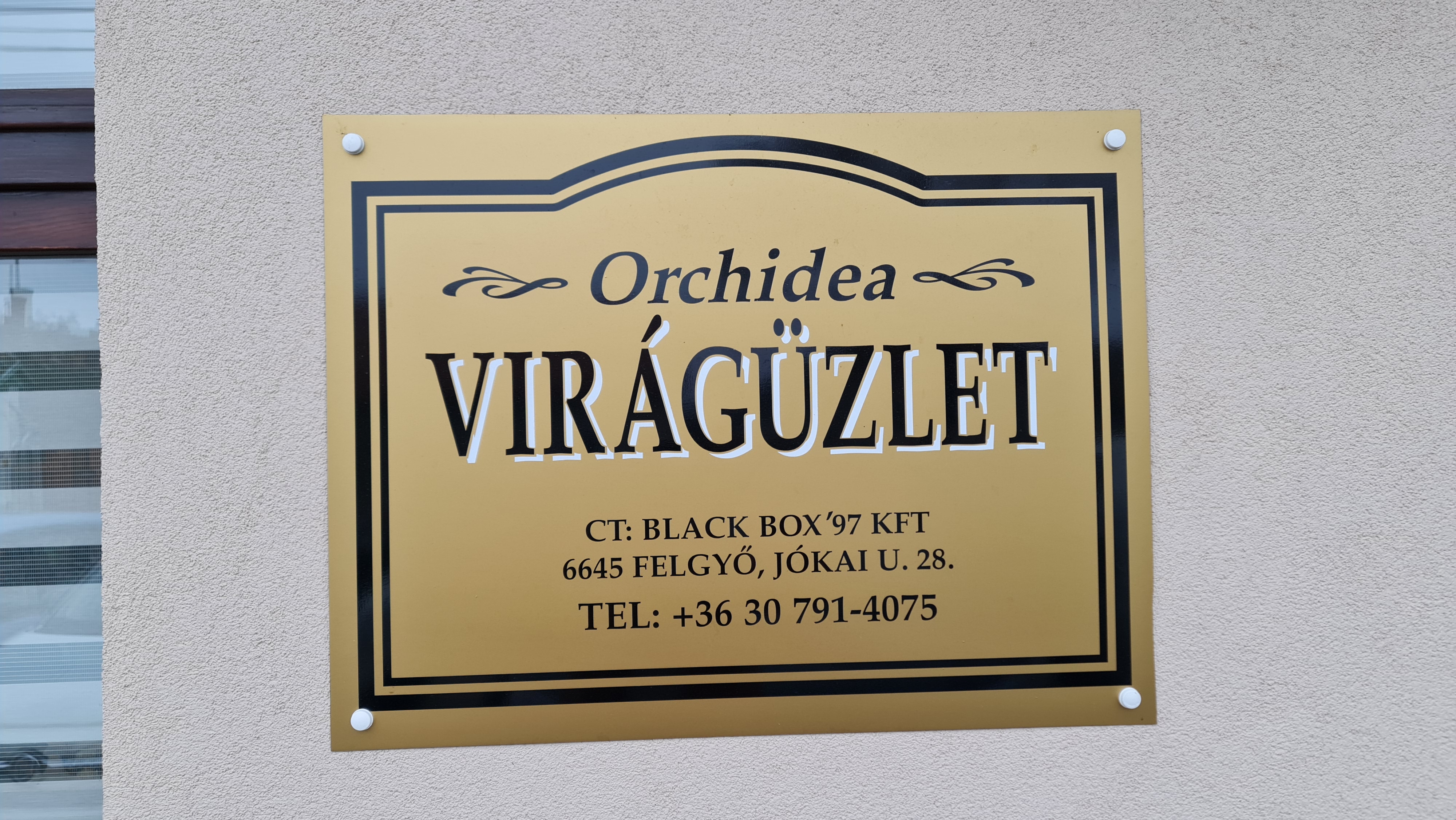 Images Orchidea Temetkezés  Black-Box 97 Kft.