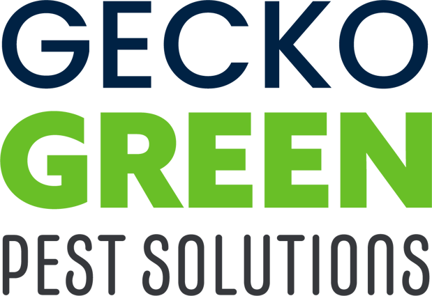 Images Gecko Green Pest Solutions