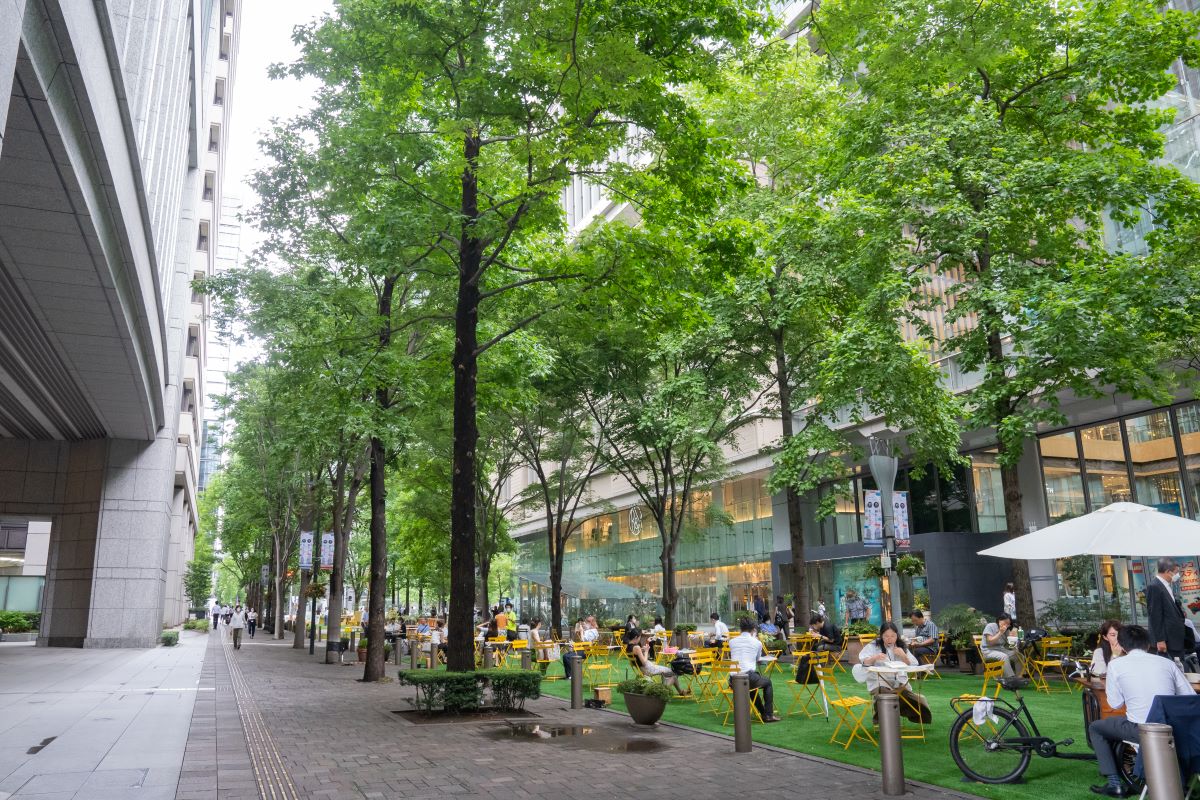 ＜01_DSC00142 キャプション＞