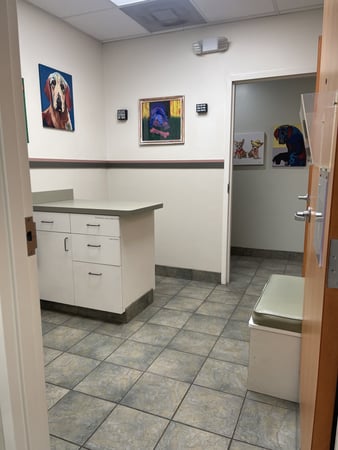 Images VCA Village Animal Hospital