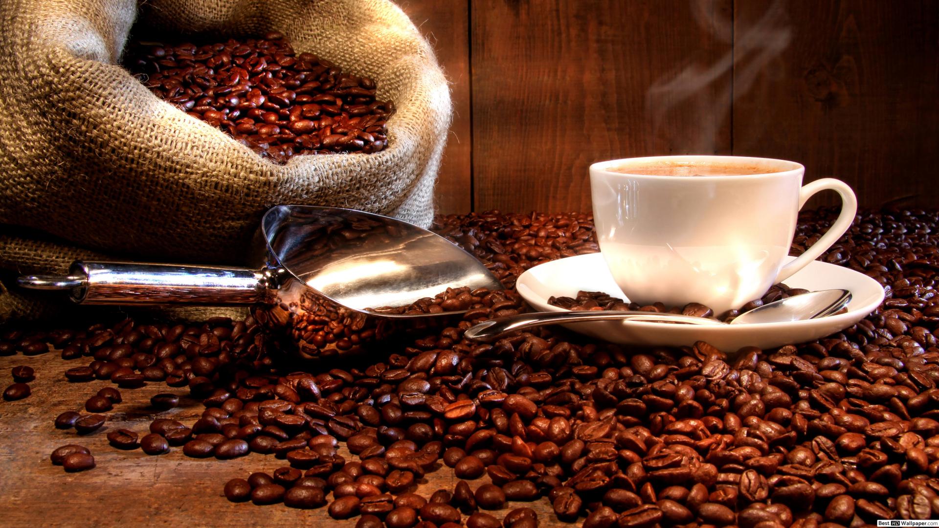 Images Global-Coffe Kft. - Felújított és új Saeco kávégépek