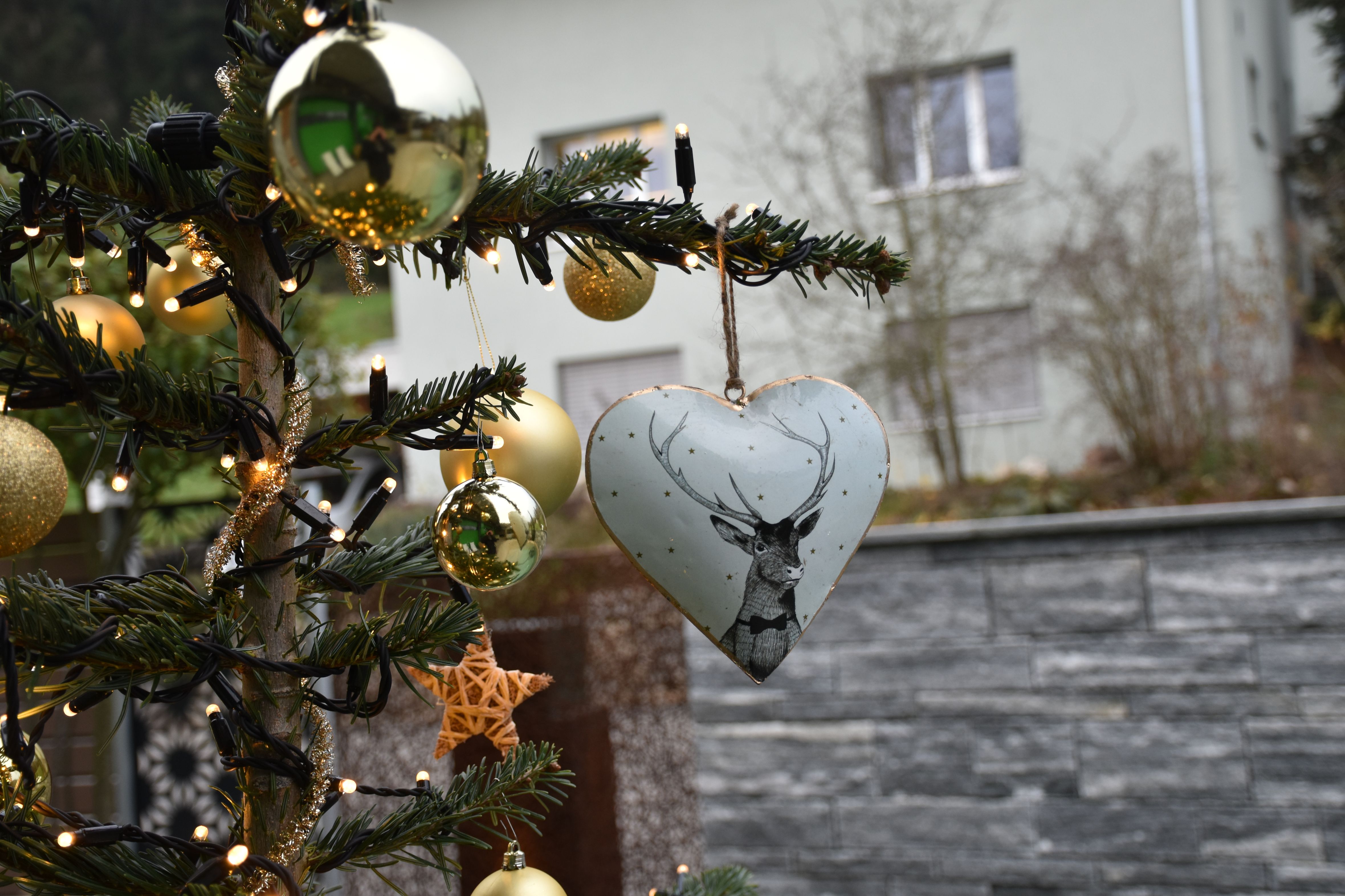 Bilder Villiger AG Garten + Pool
