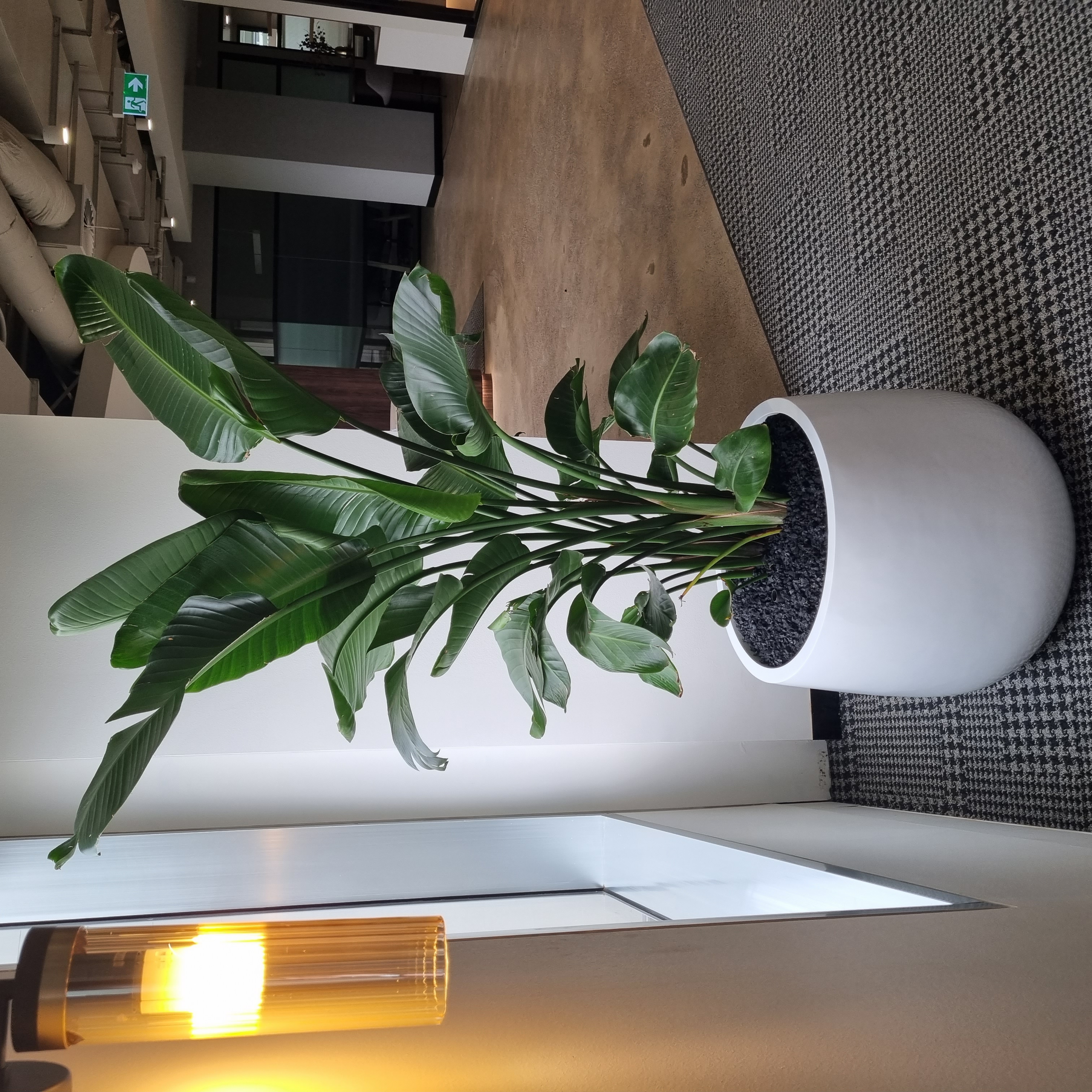 Images Plants For Hire Pty Ltd