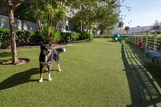 Images Camden Pier District Apartments