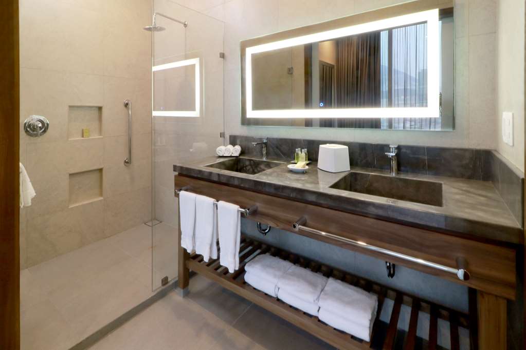 Images Hilton Garden Inn Monterrey Obispado