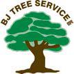 BJ Tree Service, LLC & Mack Mulch, LLC