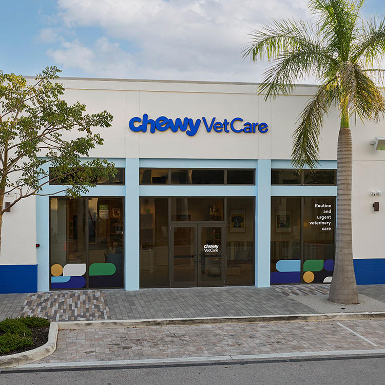 Chewy Vet Care Plantation, Florida