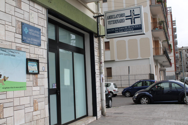 Images Ambulatorio Veterinario Associato Dott.ssa De Francesco e Dott. Gentile