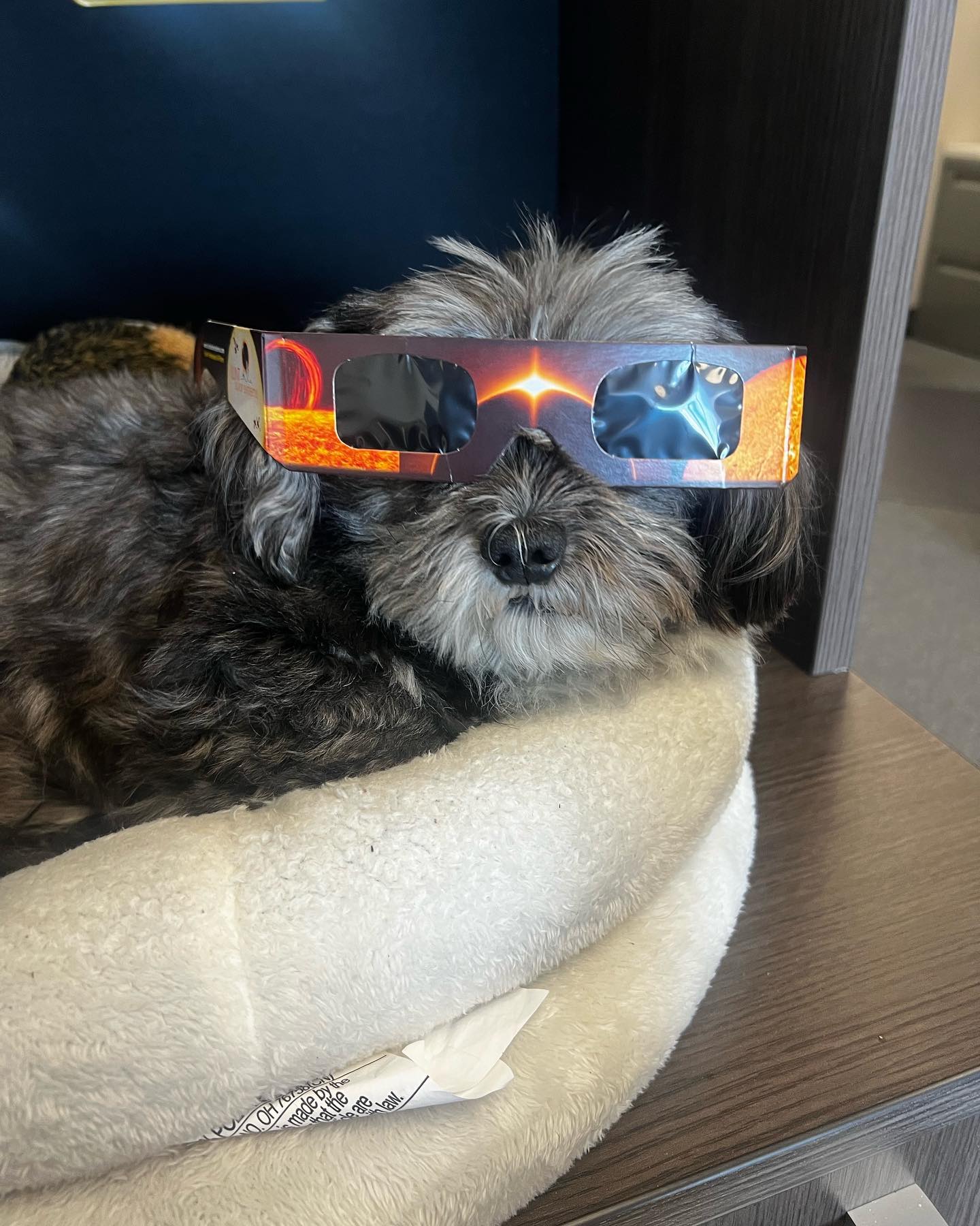 Total Eclipse 2024!