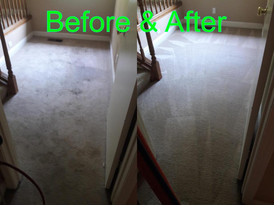 Able Body Carpet & Restoration Photo