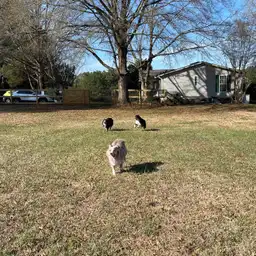 Sniffspot Yolistone Image