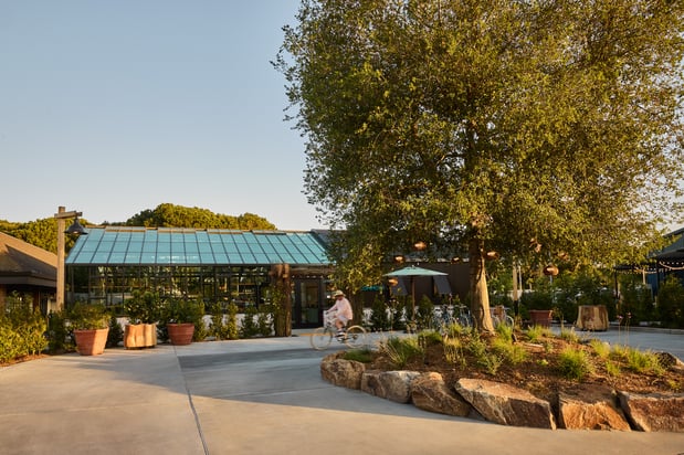 Images Treehouse Hotel Silicon Valley