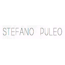 Pittore Stefano Puleo Logo