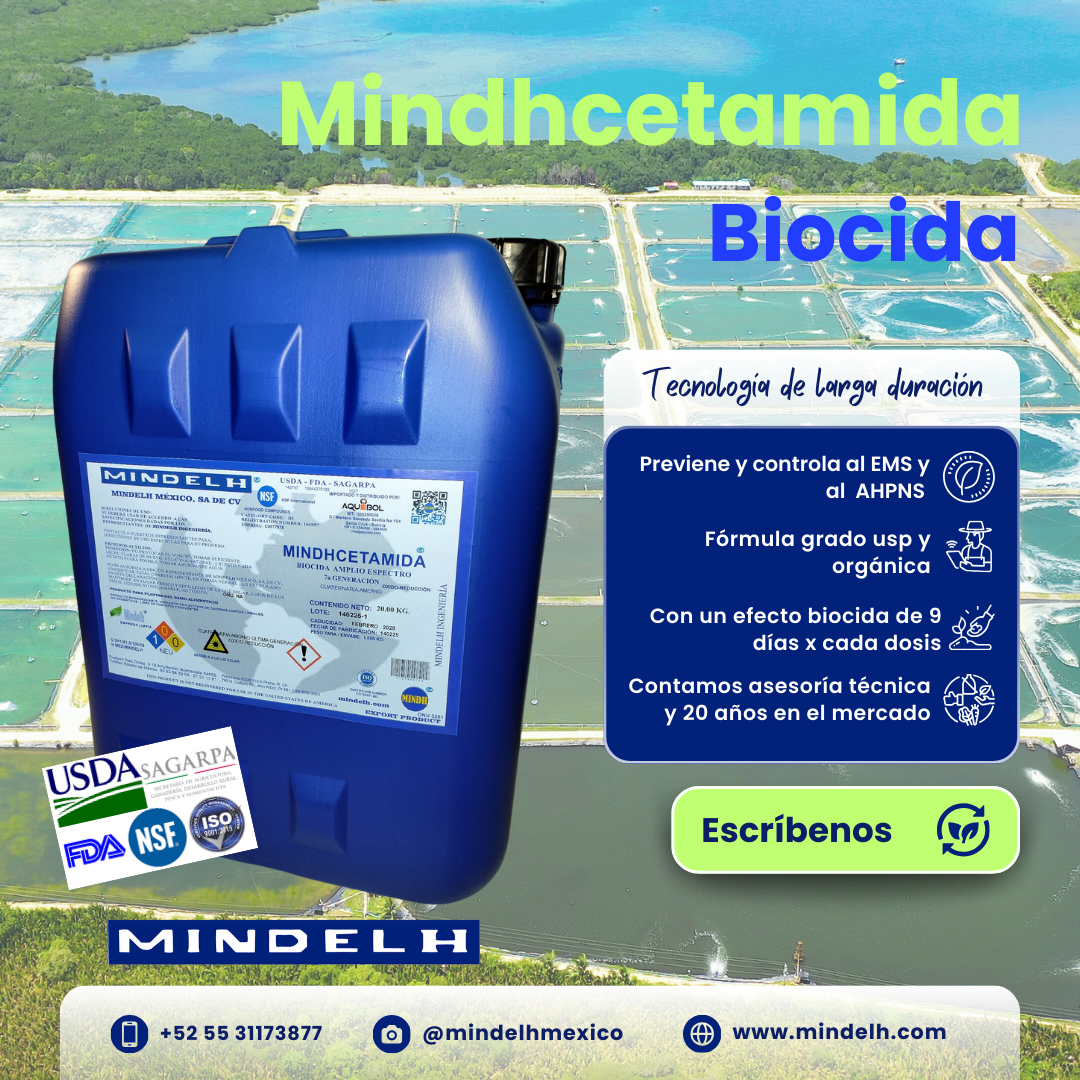 Images MINDELH MÉXICO