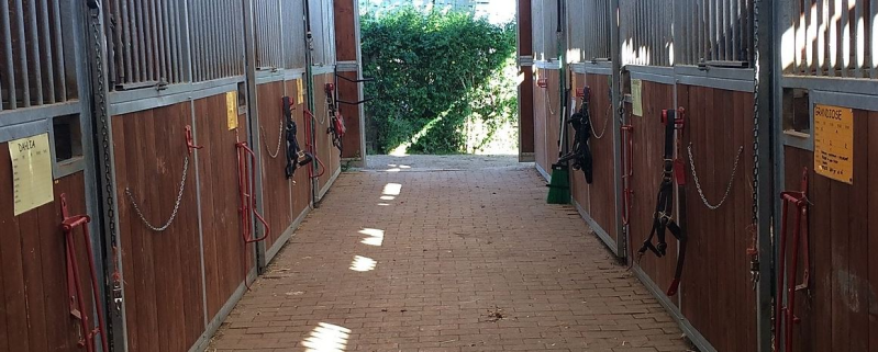 Images Excalibur Equestrian Centre - Scuola pony Equitazione