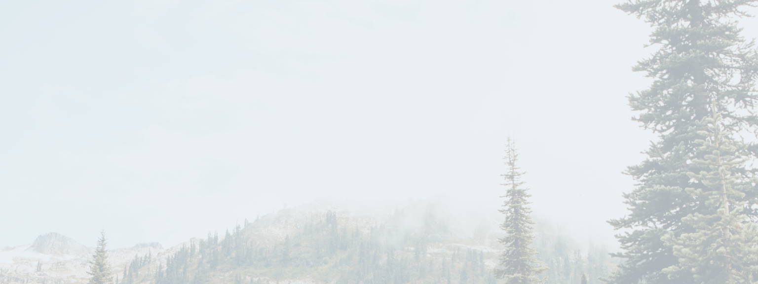 Snow-capped mountains and evergreen trees on a foggy day.