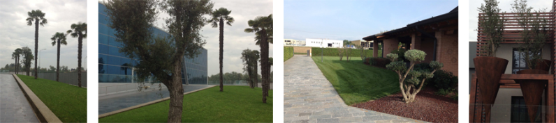 Images Bonaita Robi & Figli