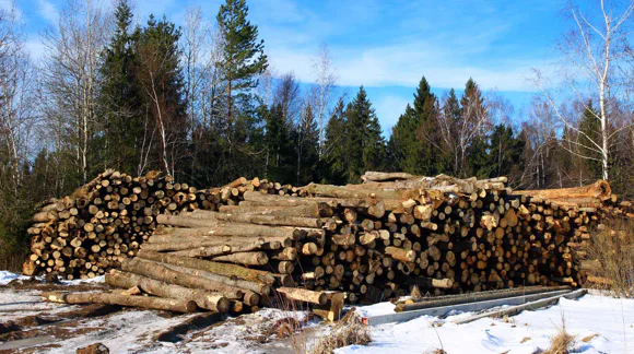 Images Metsäkoneurakointi Teemu Tiitinen Oy