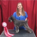 Images Featherle Pet Care Chantilly