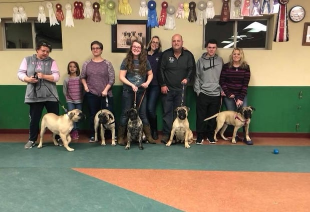 Images Woofman's Lodge Pet Resort