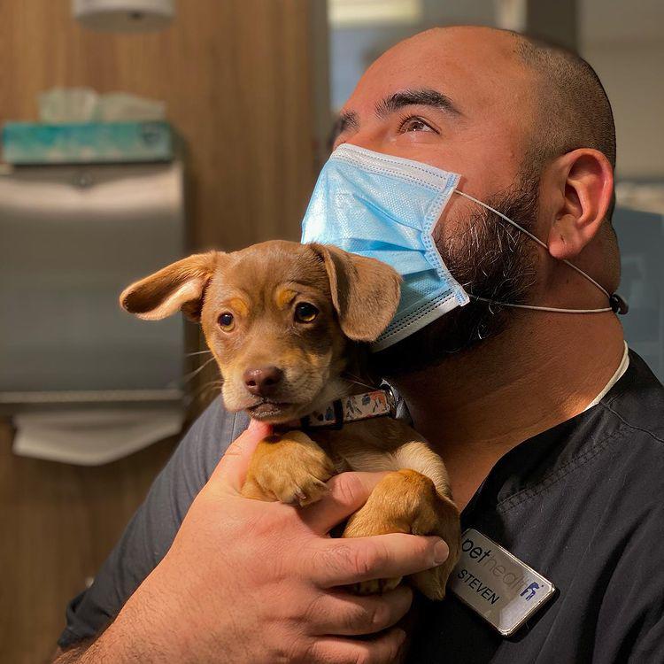 Images Pet Health Animal Hospital