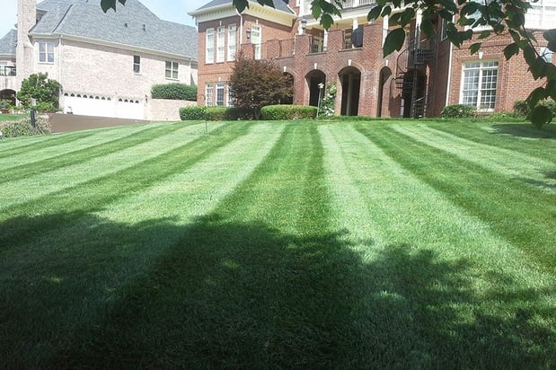 Images Cruz's Lawn & Landscaping