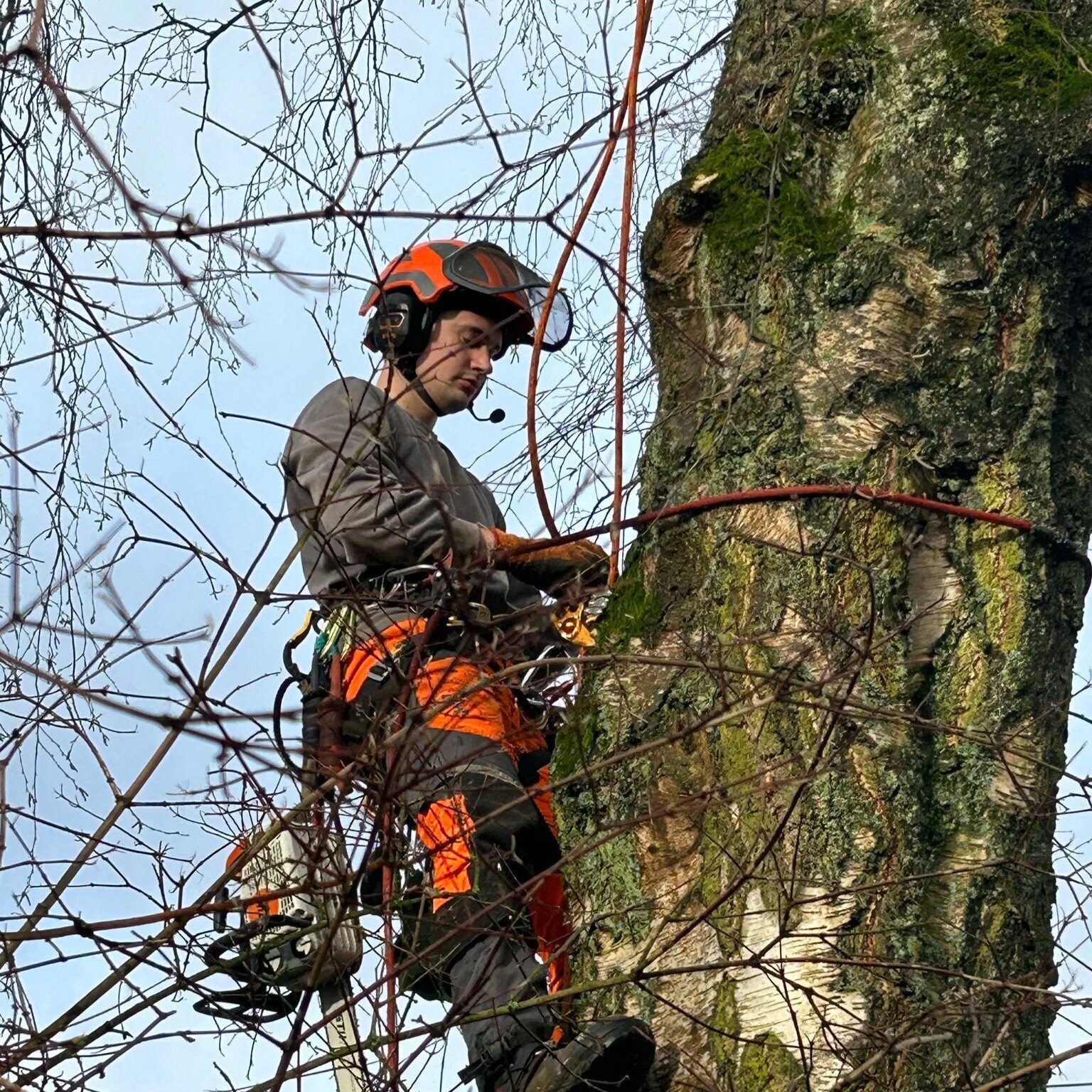 Baumdienst Behan, Im Winkel 22 in Schalksmühle