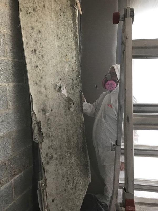 Moldy wall! #SERVPRO responded and was on site quickly to help.