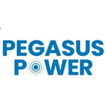 Ryser Consulting & Mental Health GmbH (Pegasus Power) Logo