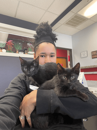 Images VCA Preston Park Animal Hospital