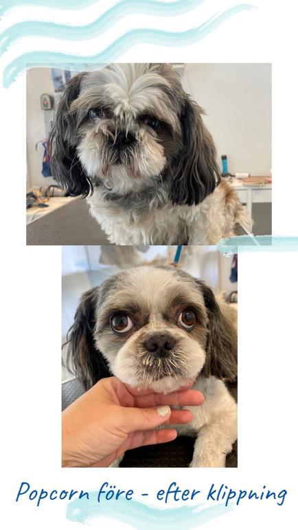 Images 4 Tassarnas Trim AB