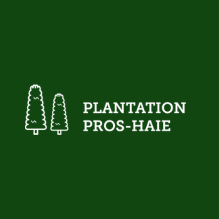 Plantation Pros-Haie de cèdres Logo