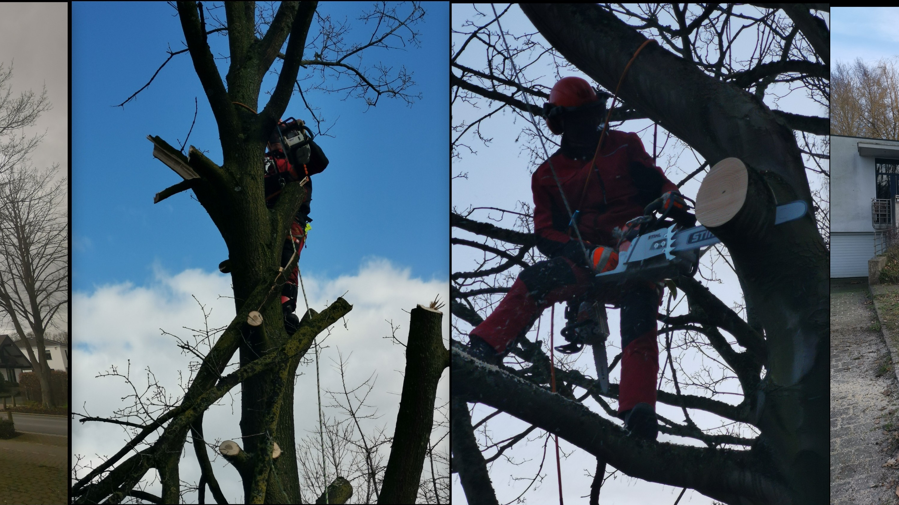 Garten & Landschaftsbau +Baumfällungen Tobias Matthiesen, Bischof-Peters-Strasse 26B in Nettetal