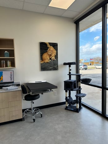 Images CityVet Veterinary Clinic & Urgent Care