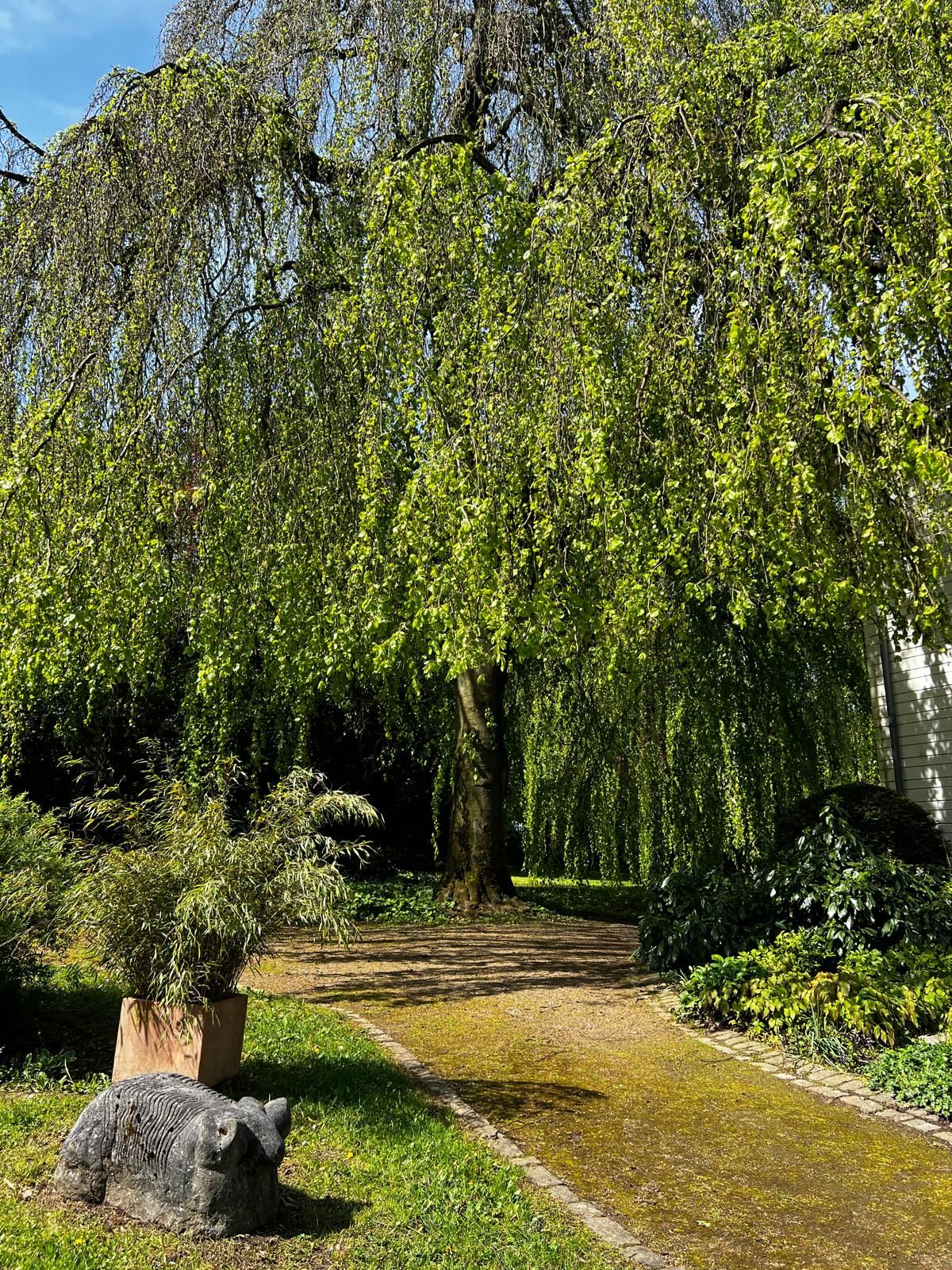 Neue Wege Hypnose-Therapie-Entspannung, Stiftstr. 24 in Wülfrath