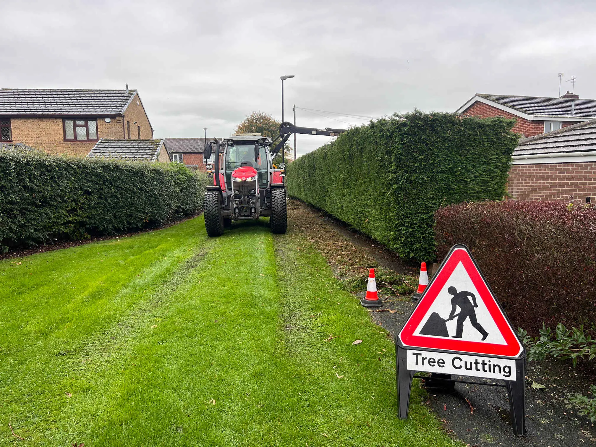 Images Tree Wise Men (NE) Ltd