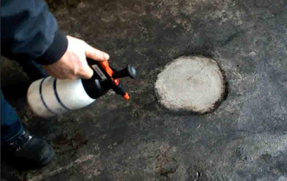 BIOSID Deutschland GmbH, Bertolt-Brecht-Platz 3 in Berlin