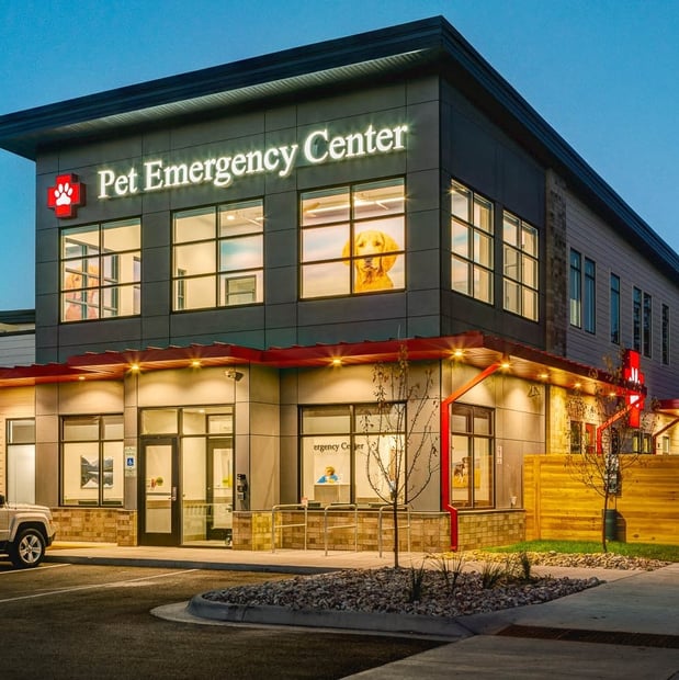 Images Pet Emergency Center