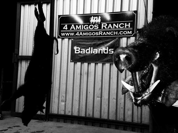 Images 4 Amigos Ranch
