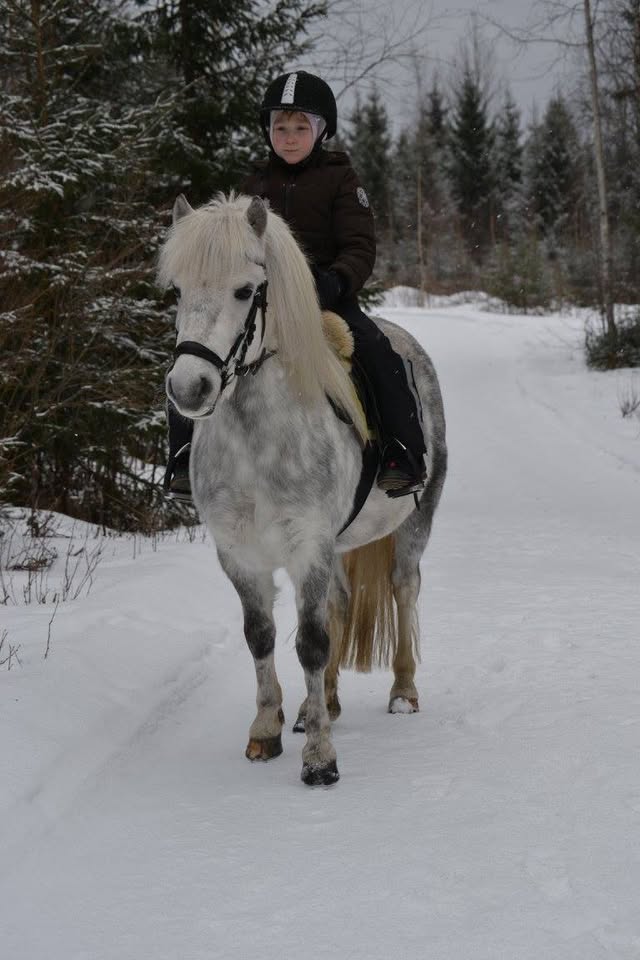 Images Relanderin Ponitalli