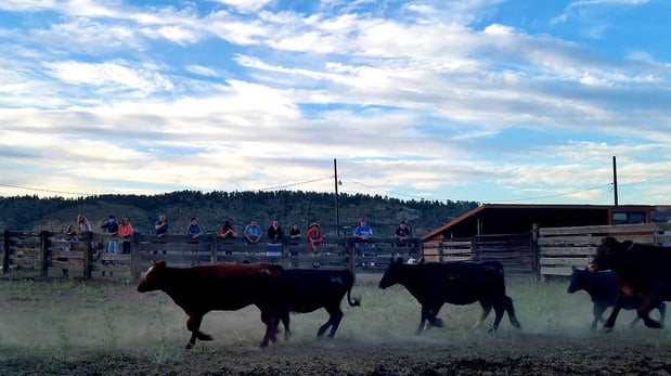 Images Sylvan Dale Guest Ranch & Wedding Venue