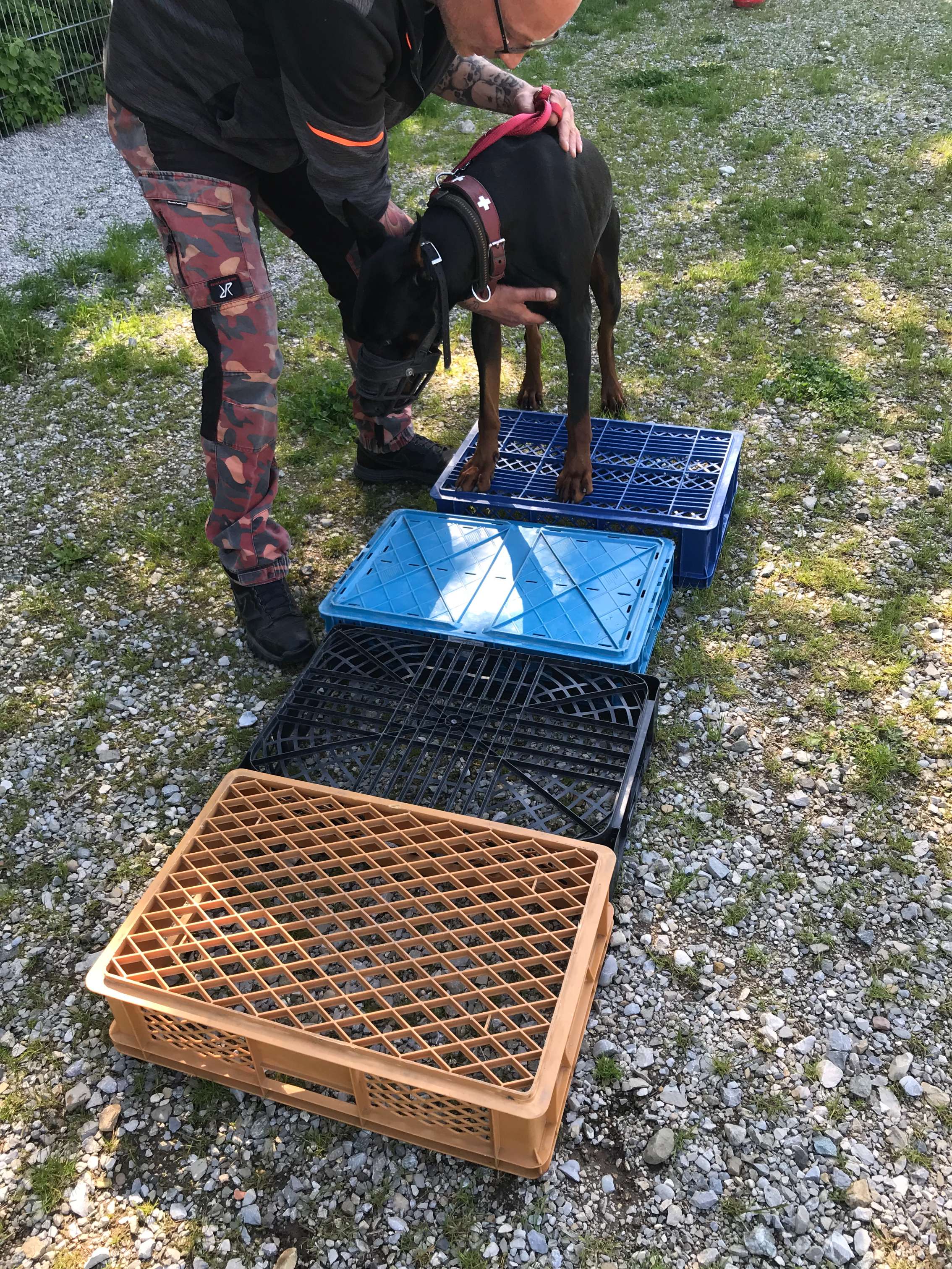 Hundeschule Wauschlau, Brukenthalstraße 4 in München