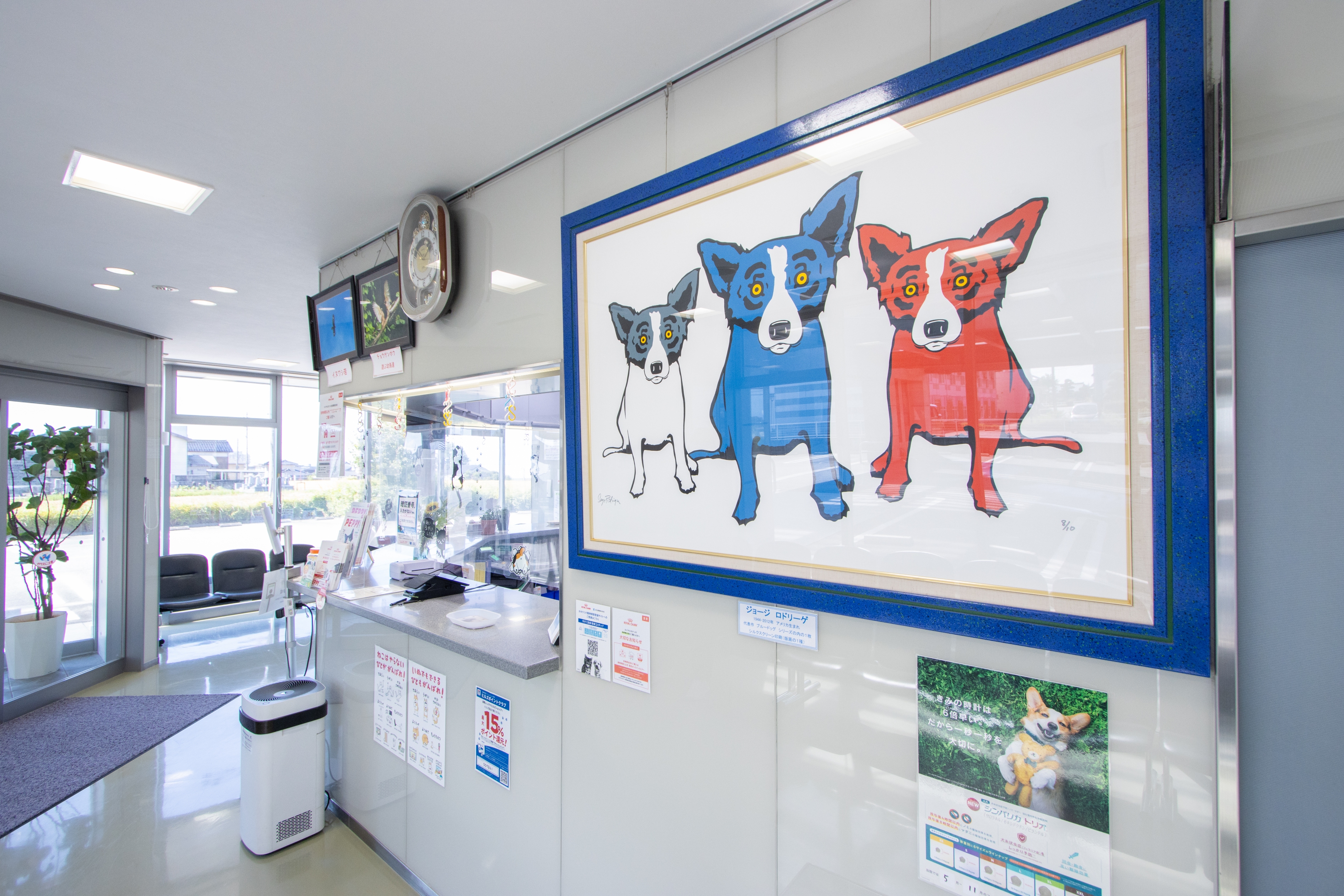 Images 高島獣医科魚津病院