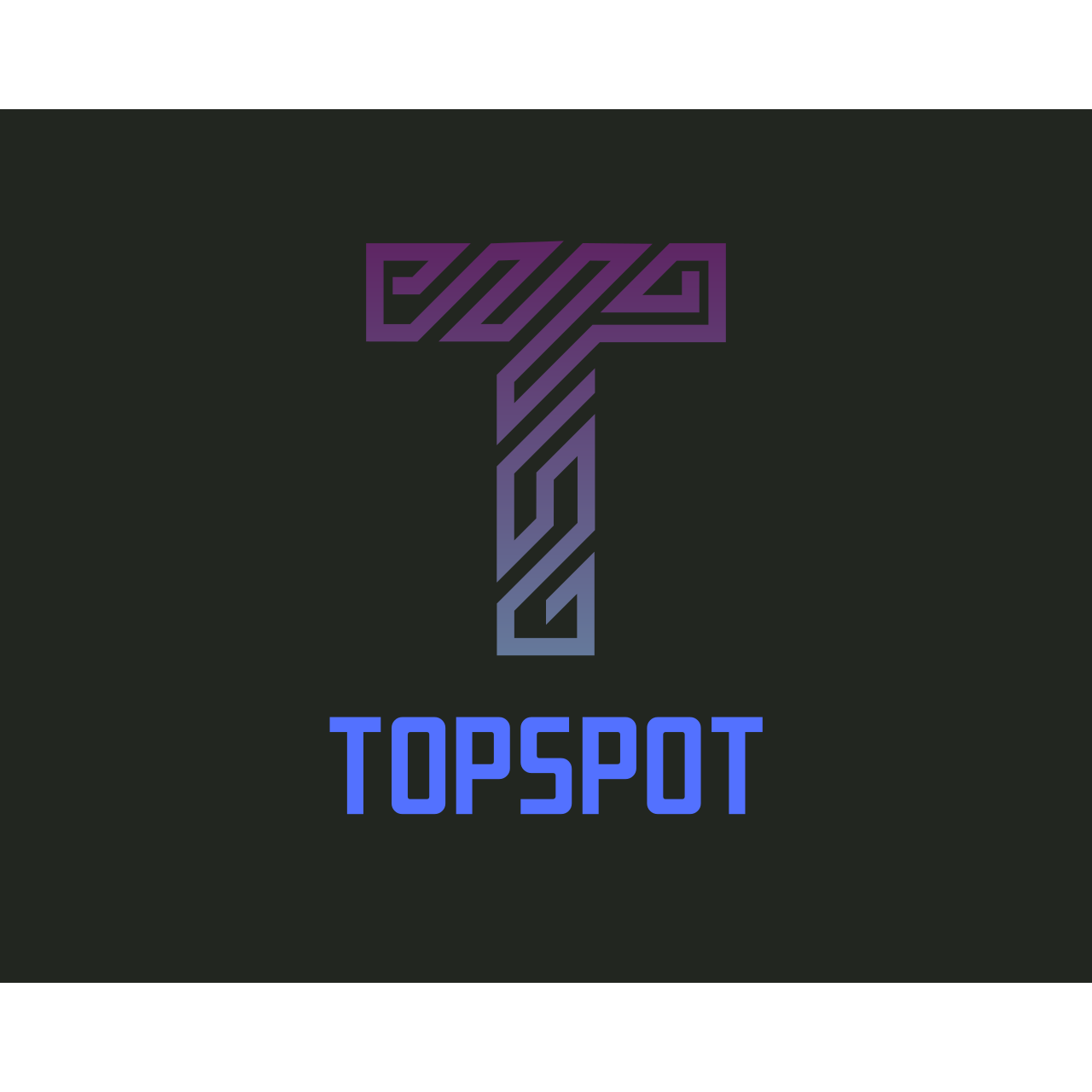 TOPSPOT électronique professionnelle (matériel et composants en gros)