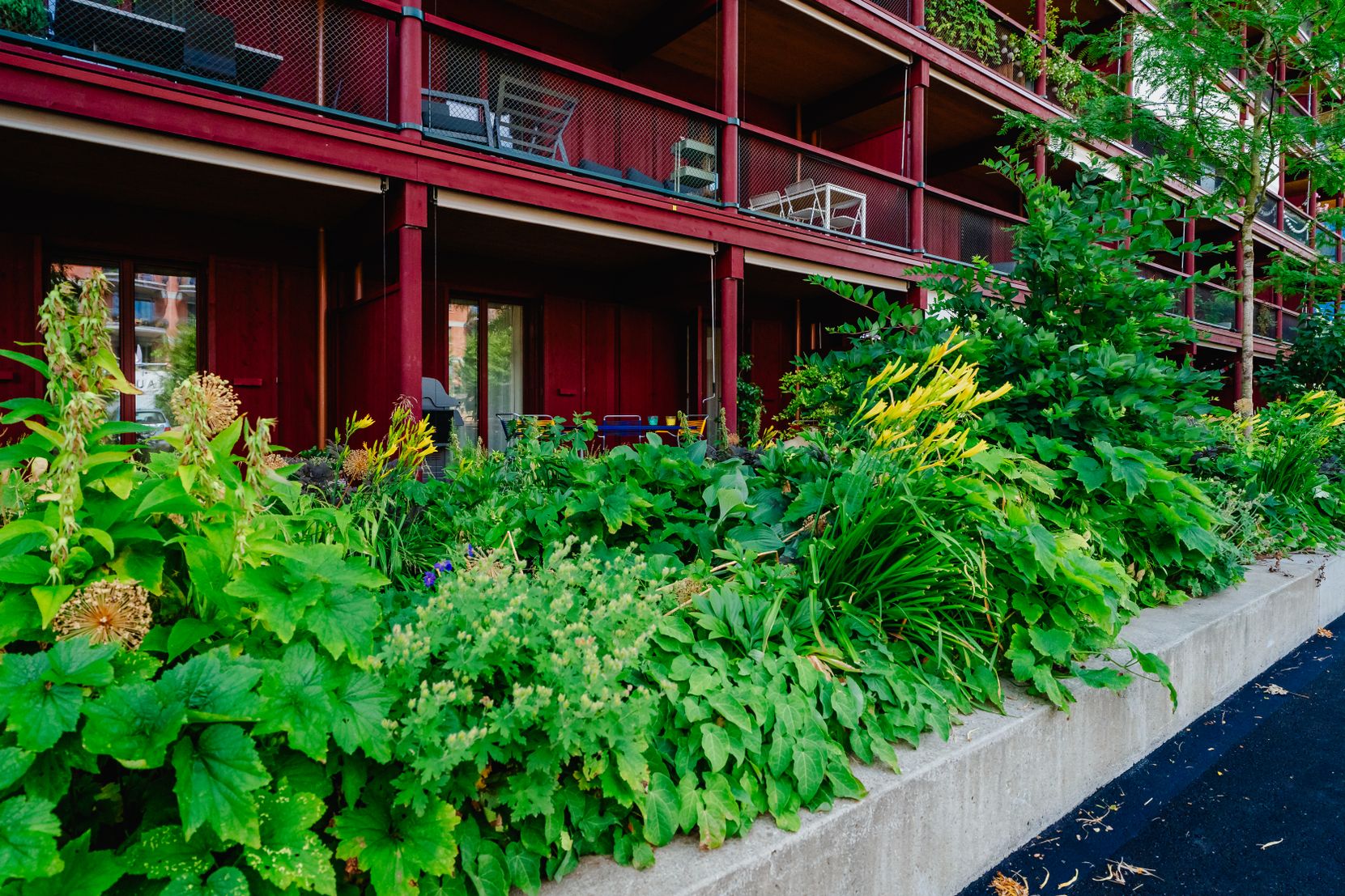 Matter Garten AG, Dielsdorferstrasse 32 in Buchs ZH