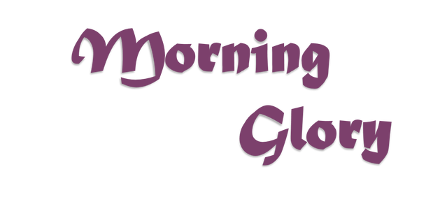 Images Morning Glory