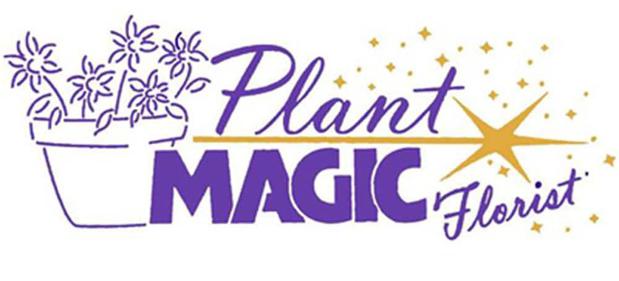 Images Plant Magic Florist